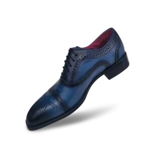 Long-wing blue oxfords