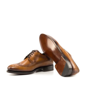 Longwing blucher